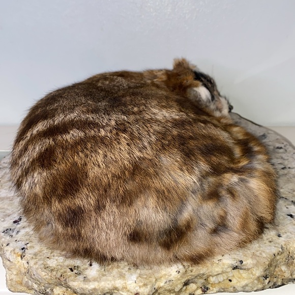 Vintage Beautiful Real Rabbit Fur Soft Realistic Sleeping Cat- - Picture 7 of 10